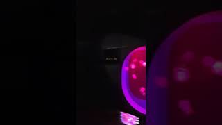 Jellies Dancing Sea Fairies - Manila Ocean Park 2017