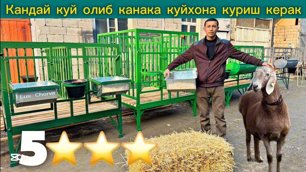 Mana YANGLIK👍 | Zamonaviy Qo'yxonalar | Qo'y Qo'ra Narxlari | Куй Катак 