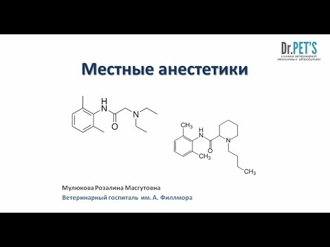 Видео: Бутылки Perrier не содержат бисфенол А?