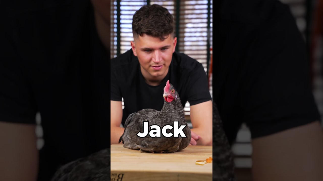 3 Levels Of Chicken Nuggets