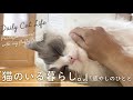 ひなちゃん