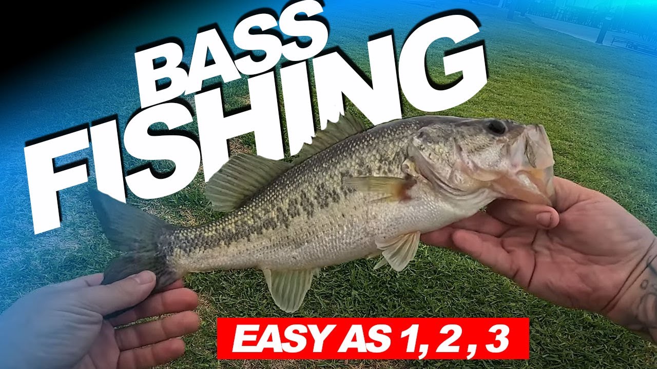 EASY Bass Fishing on Lake Conroe Works EVERY Time