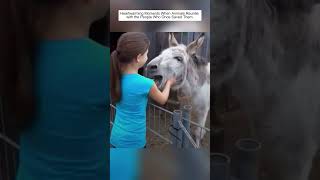 An Emotional Reunion Between Animals and Their Rescuers.