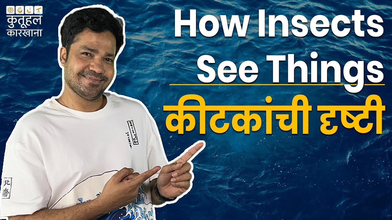 How Insects See the World| Kutuhal Karkhana | Suvrat Joshi | 