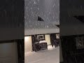 there's a lot of snow again😂