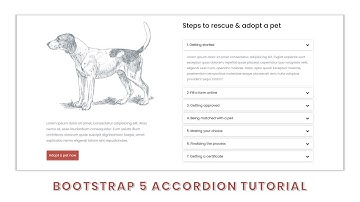Design An Accordion In A Website With Bootstrap 5, HTML & CSS