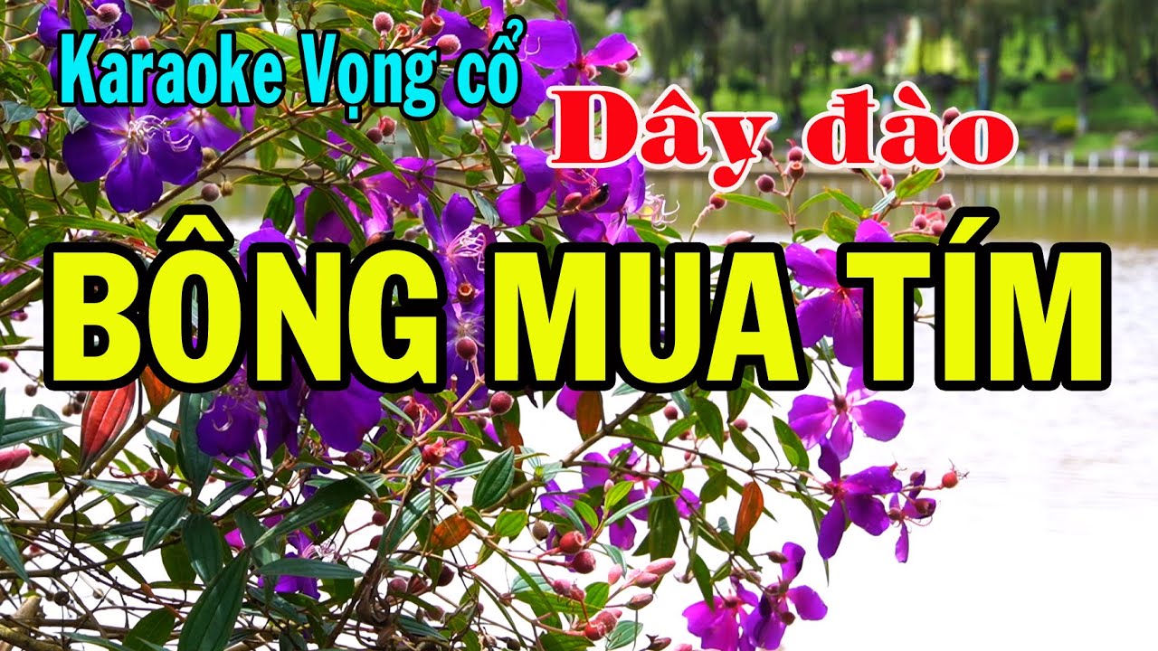Karaoke vọng cổ BÔNG MUA TÍM - DÂY ĐÀO [Bài hát buồn da diết]
