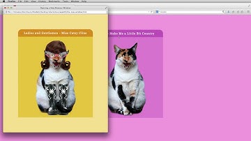 Web Design Basics | Dreamweaver | Open New Window