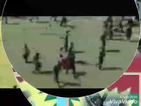 Aster Seenaa Tadee Biru 