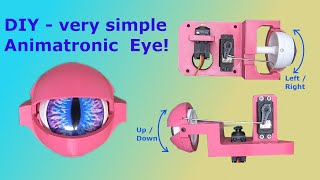 DIY Simple Animatronic Eye mechanism