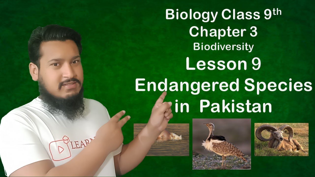 Endangered species in Pakistan | Biology 9 | Chapter 3 | Lesson 9 - YouTube