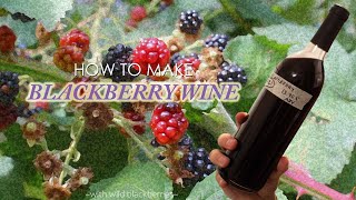 Making Blackberry Wine: 1 Gallon