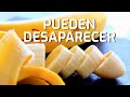 ALIMENTOS QUE PODRÍAN DESAPARECER | Top | El Planeta Z