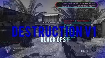 DESTRUCTION V1 | BO1 | TU11 | ALL CLIENT MENU | WORKS ONLINE