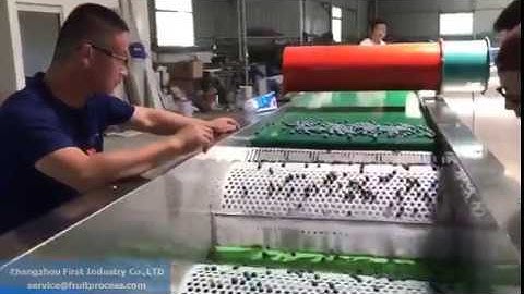 Blueberry grader, blueberry sizer, blueberry sorting machine