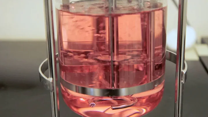 The Impact of Sparging on Cell Culture in Bioreactors – Two Minute Tuesday Video
