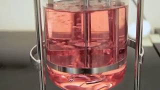 The Impact of Sparging on Cell Culture in Bioreactors – Two Minute Tuesday Video