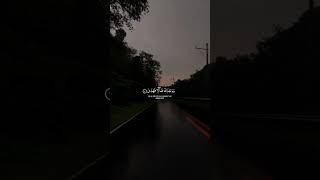 Beautiful Quran verses|Surah duha |Qari Sadiq|#quran #emotional #relaxing #sakon #fpy