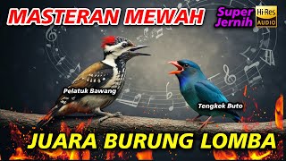MASTERAN MEWAH ! TEMBAKAN SPEED RAPAT TENGKEK BUTO VS PELATUK BAWANG