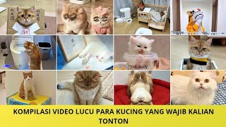 Kompilasi 15 Video Bontot Dan Kawan-Kawan