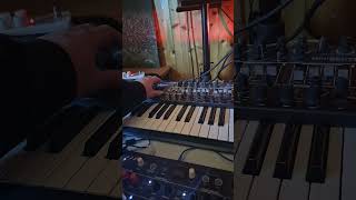 pitch bend wheel fun with the #minibrute #electronicmusic #synth #synthesizermusic