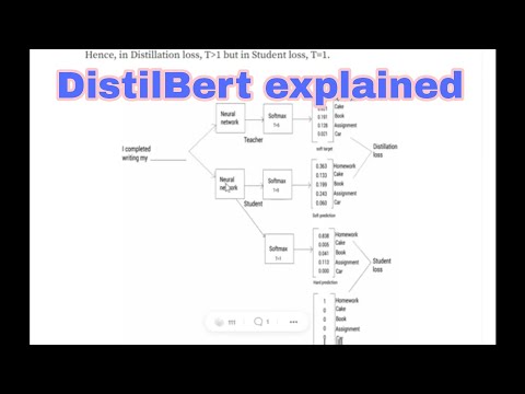 DistilBert explained