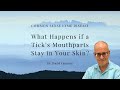 What happens if a tick't mouth part stays in your skin?