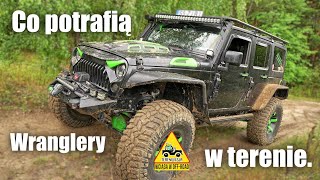 Co potrafią Wranglery w terenie. Relacja z Wranglerowelove.