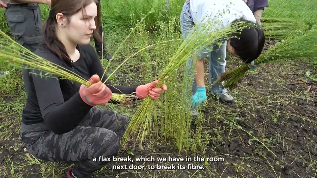 UCalgary English students and volunteers create paper out of flax