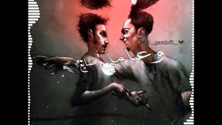 حالات وتس      حمو الطيخا مليش زميل    - اسمعها