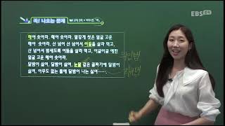 02강문학비유와상징의표현효과2 EBS중학신입생예비과정국어