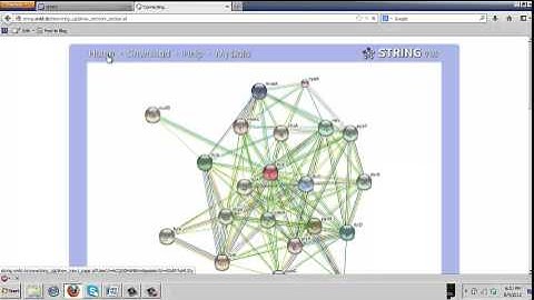 Lecture 2  Using Comparative Genomics Resources