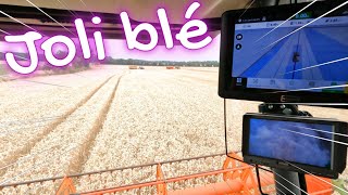🌾 MOISSON DU BLE 🚜 - 2025
