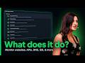 What is UptimeRobot and what does it do?