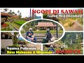 Kedai Kopi Nuansa Pedesaan | Serasa Pulang Kampung | Ngopi di Sawah