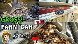 GUTTING and Cleaning a NASTY Farm Car | Extreme Clean of a Gross Ford Fusion