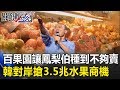 一個百果園讓鳳梨伯種到不夠賣 韓國瑜3/22對岸搶3.5兆水果商機！關鍵時刻20190304-1 黃世聰 謝龍介 吳芳銘 江啟臣 黃紹庭 吳子嘉