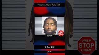 Tuscaloosa, Alabama Booking Records - 02 June 2026 Tuscaloosa, Alabama Booking Records - 02 June 2026