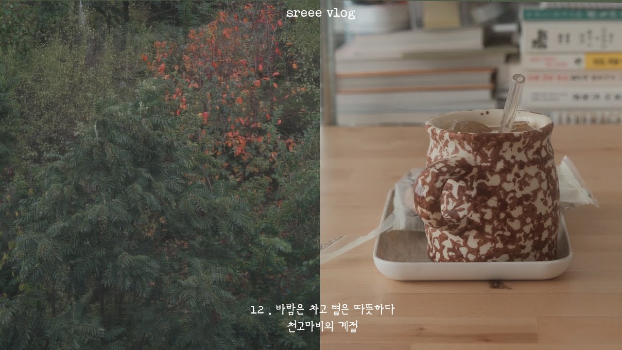 12 가을은 살이 찌는 계절. 도시락을 싸기 시작했다. 뿌리 채소가 맛있어 지는 계절. 친구가 이사 오고 나는 솔로 모임 시작과 함께 만들어진 포트럭 파티