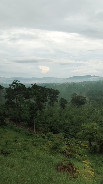 Indahya pemandangan alam😍 #shortsvideo #video #alam #story