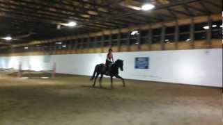 Dalton doing gridwork for the first time!