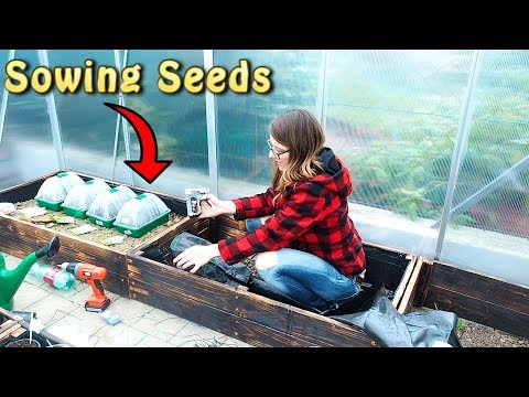 Sowing Seeds 2019 and early GARDENING Tasks in Springtime