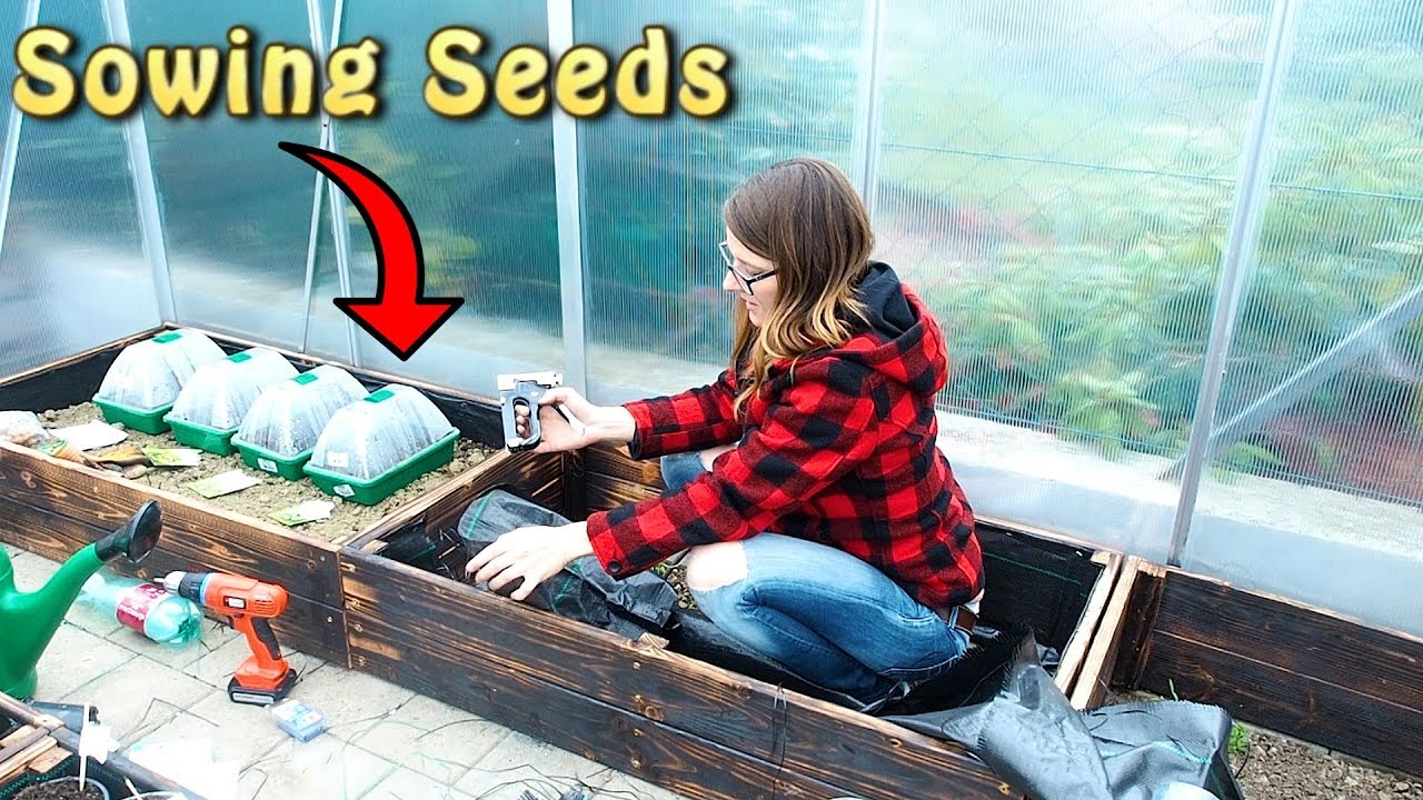 Sowing Seeds 2019 and early GARDENING Tasks in Springtime