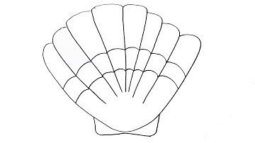 How to Draw a Scallop Shell - Comb shell - EASY FOR KIDS