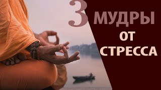 ★ Три сильные Мудры ★ от депрессии и стресса. Делать каждый день! by Аура Звука 1,931 views 2 years ago 7 minutes, 4 seconds