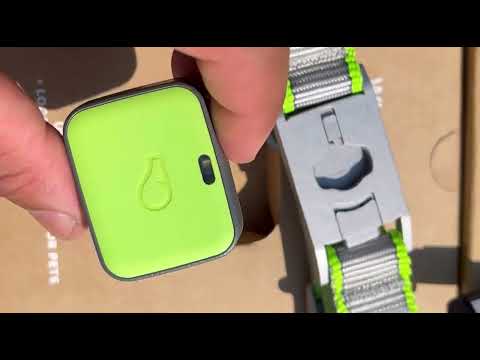 Whistle GO Explore GPS + Health + Fitness Dog Tracker Honest Review