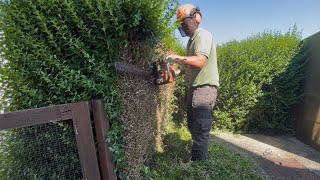 Bramble Bashing & Hedge Reduction in the Heat!🥵