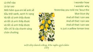 Lemon Tree - Fools Garden - lyrics (Cây chanh vàng - ngàn quả chán - Vietsub by Lily)
