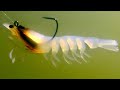 Zerek Shrimp and How To Fish It For JACKS & BARRA