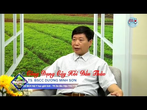 Video: Công dụng của cây Hồi - Tìm hiểu về cách trồng cây hồi